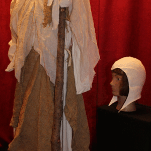 LA FOLLE DE BROCELIANDE